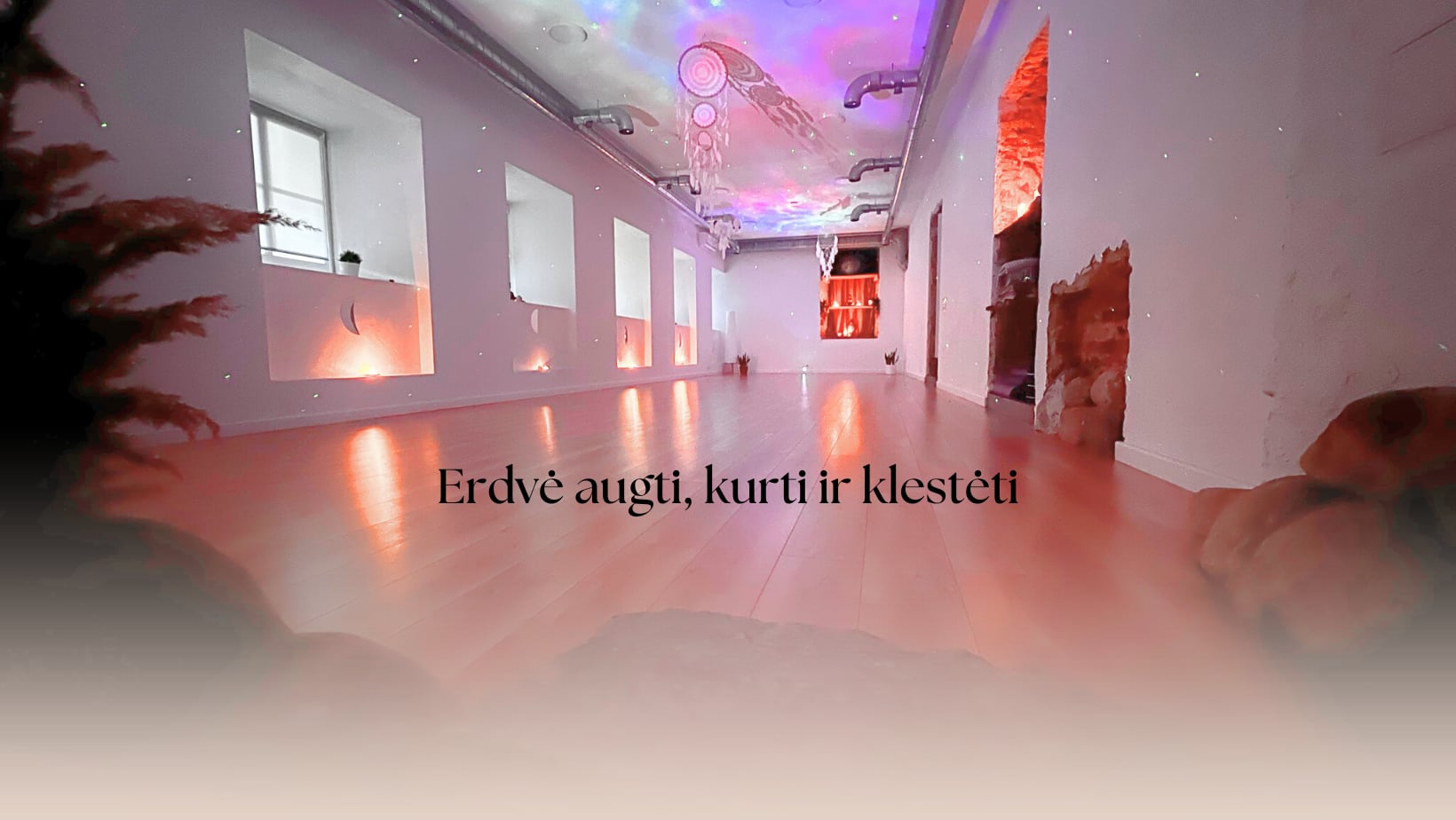 Yantra/Vinyasa/Morning Yoga with Gina