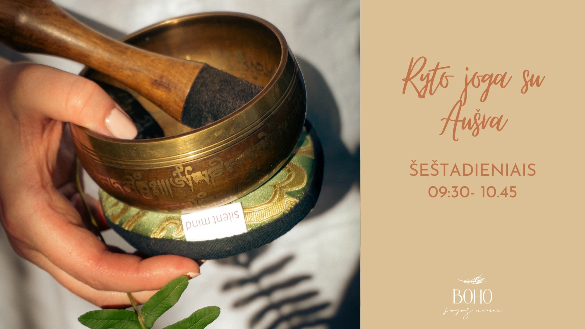 Morning yoga with Dawn