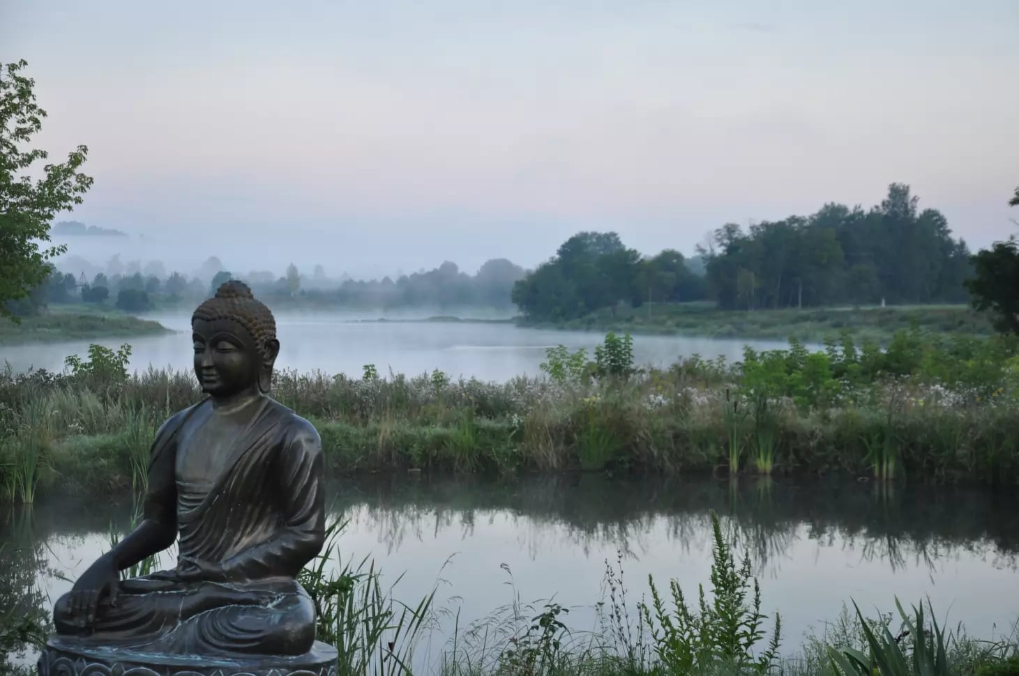 New Year in the Zen Forest