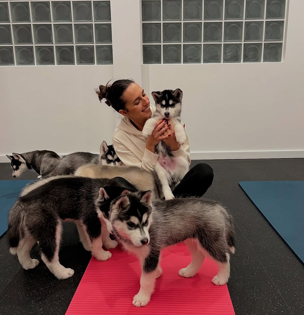 Yoga and animals - a union of harmony and joy