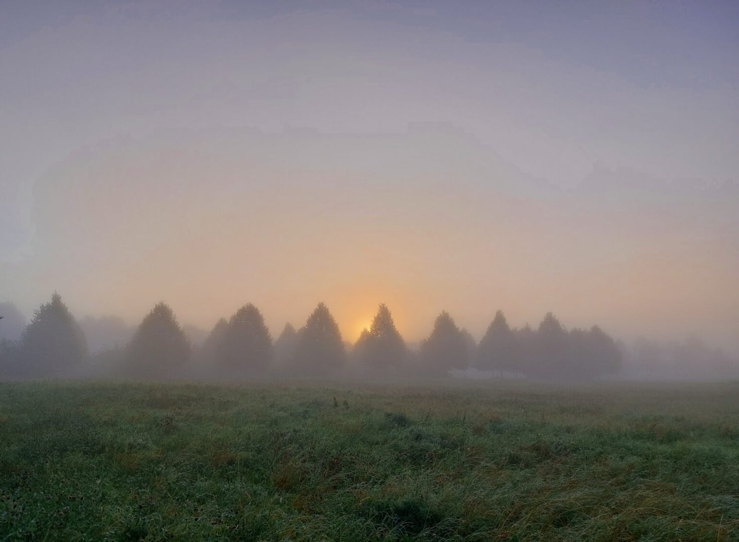 Silence Camp