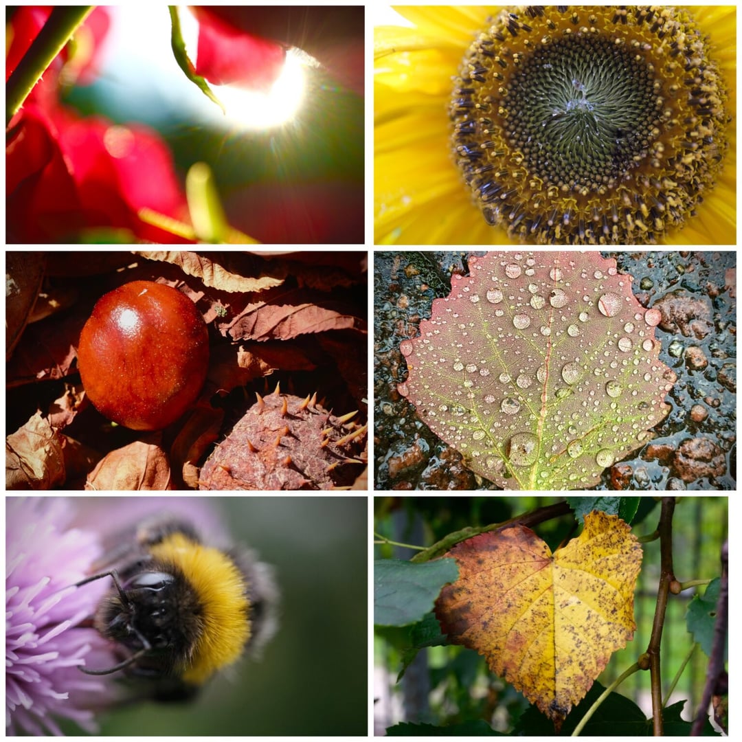 BIBLIODRAMA "Colours of Mercy"