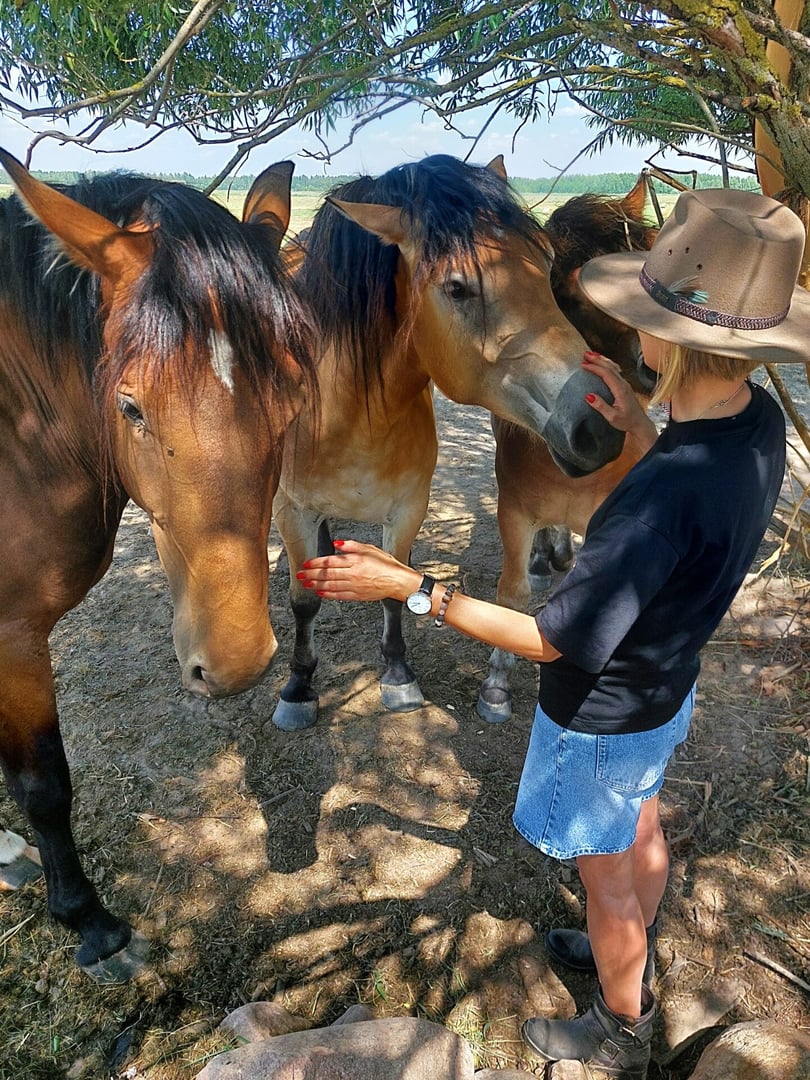 Therapeutic day with horses