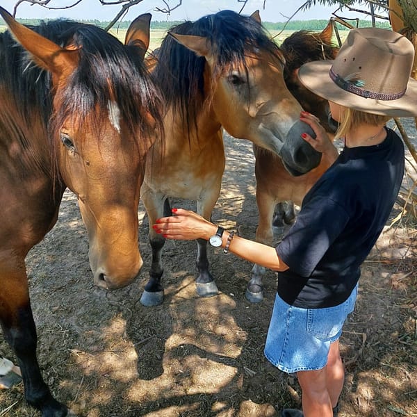 Therapeutic day with horses