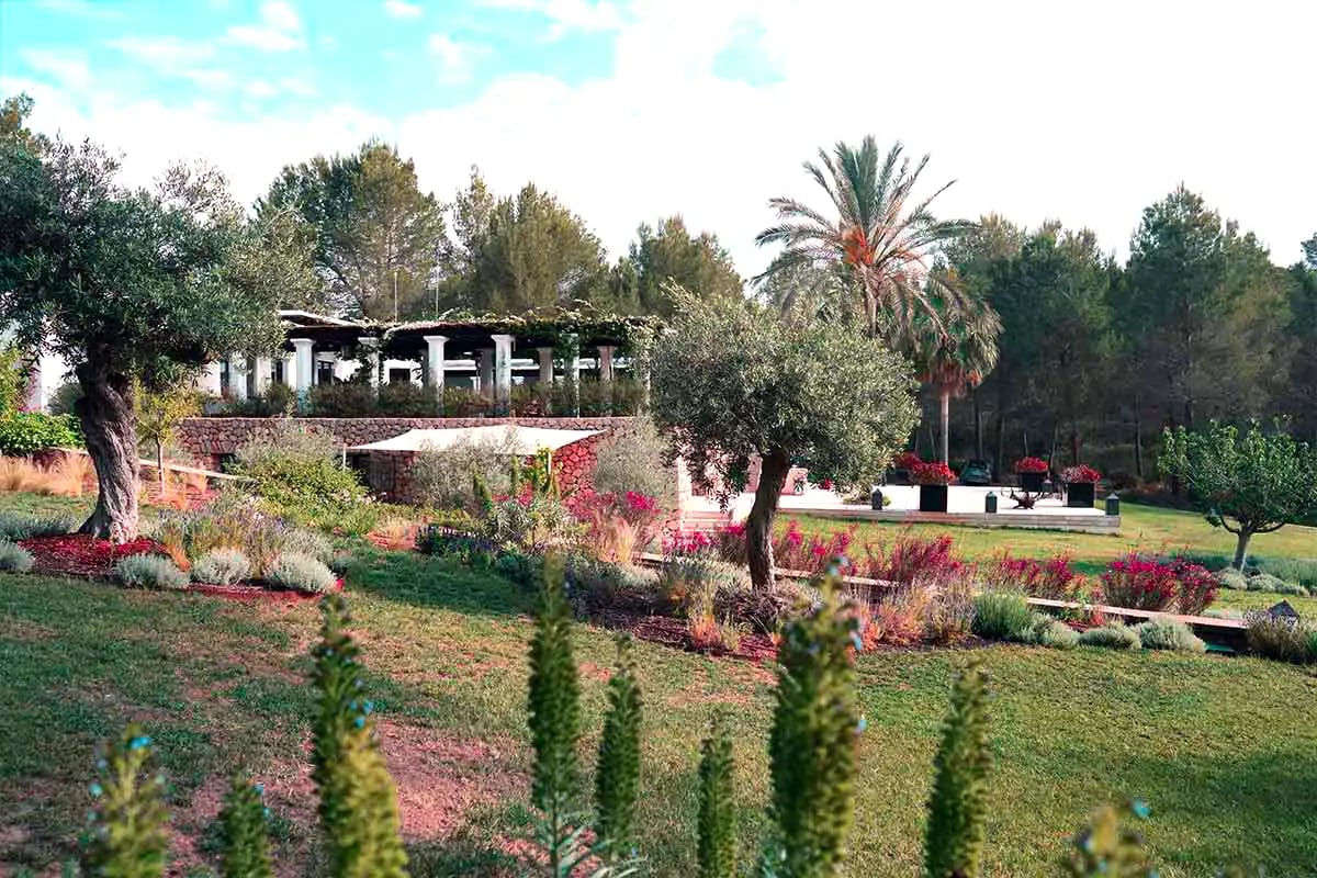 6-day Holistic Men’s Retreat w/ Plant Medicine in Ibiza, Spain