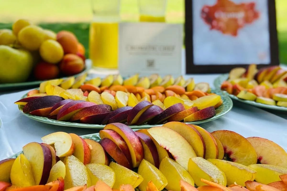 4-day Holistic Ayahuasca Retreat – Petit Comitè Ed. w/ Nilton Santi