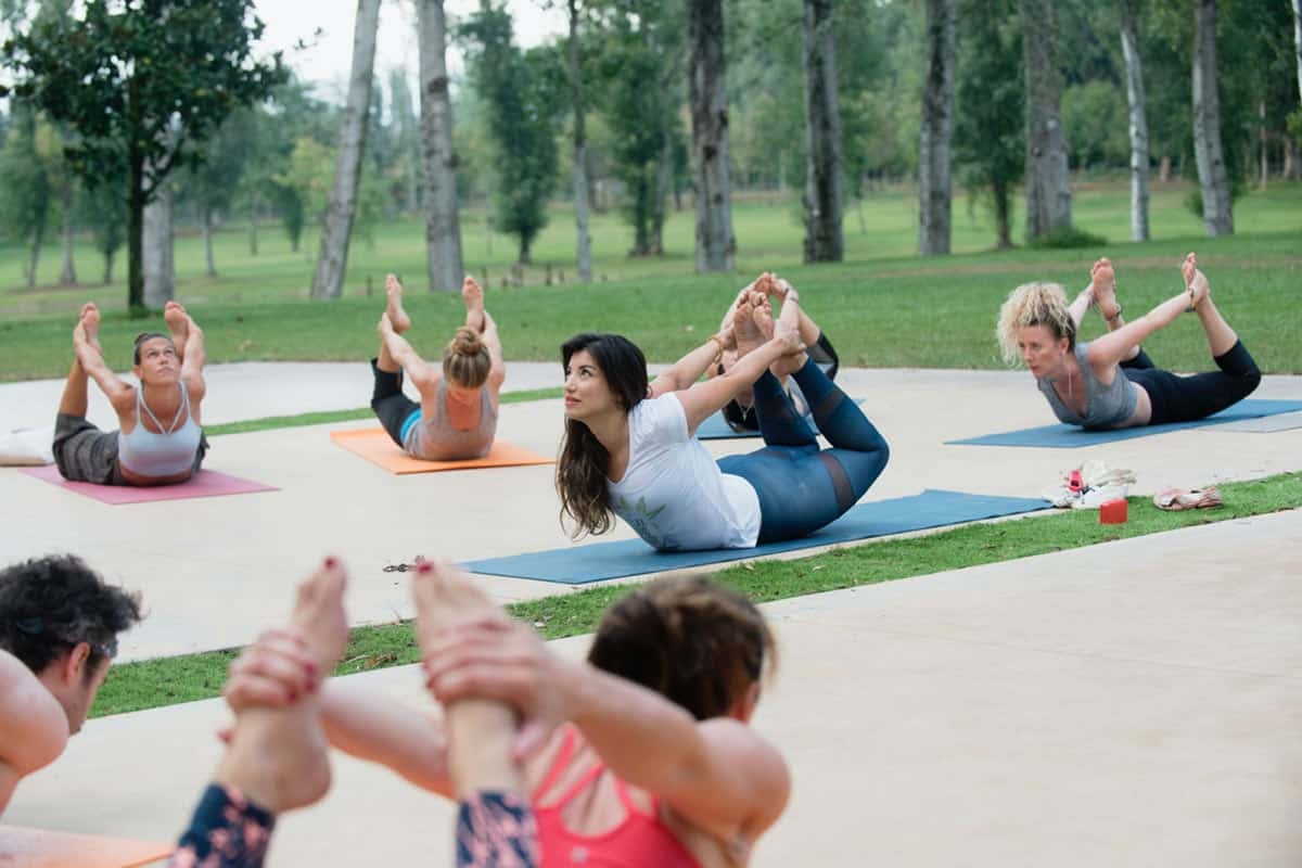 6-day Holistic Ayahuasca Retreat in Barcelona, Spain