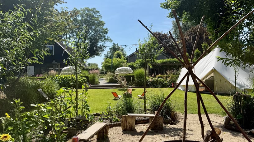 3-DAY GUIDED PSILOCYBIN RETREAT IN NATURE (NETHERLANDS)