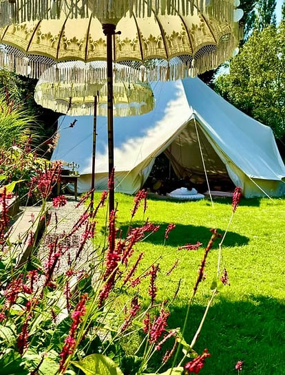 3-DAY GUIDED PSILOCYBIN RETREAT IN NATURE (NETHERLANDS)