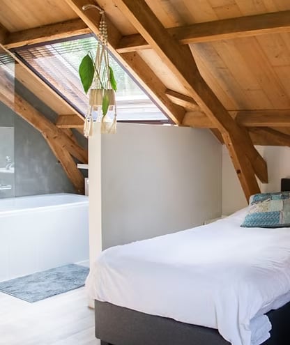 3-DAY GUIDED PSILOCYBIN RETREAT IN NATURE (NETHERLANDS)