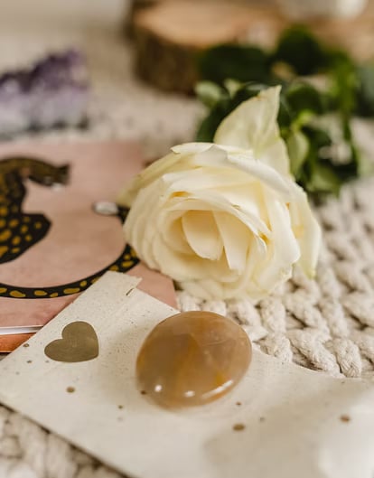 3-DAY WOMEN’S PSILOCYBIN RETREAT IN THE NETHERLANDS