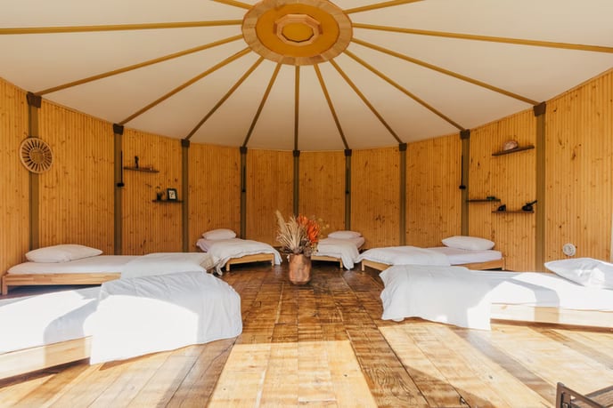 3-DAY ADVANCED PSILOCYBIN RETREAT IN THE NETHERLANDS