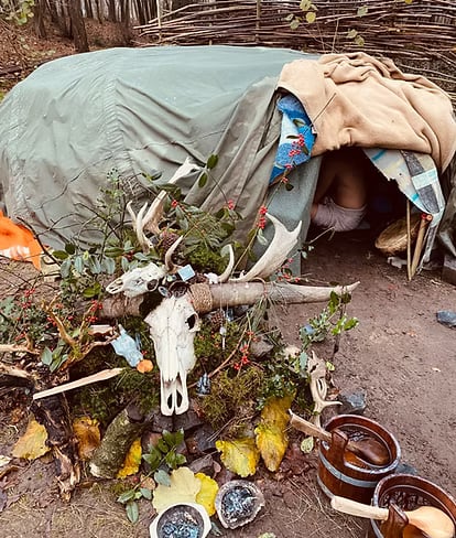 3-DAY ADVANCED PSILOCYBIN RETREAT IN THE NETHERLANDS