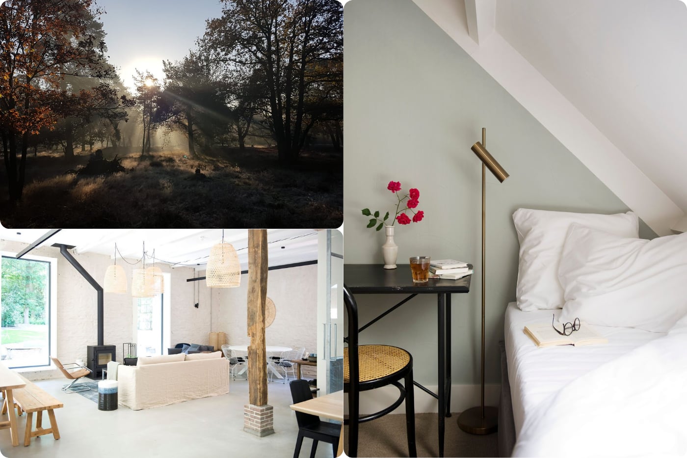 Explore The Beckley Retreat Experience