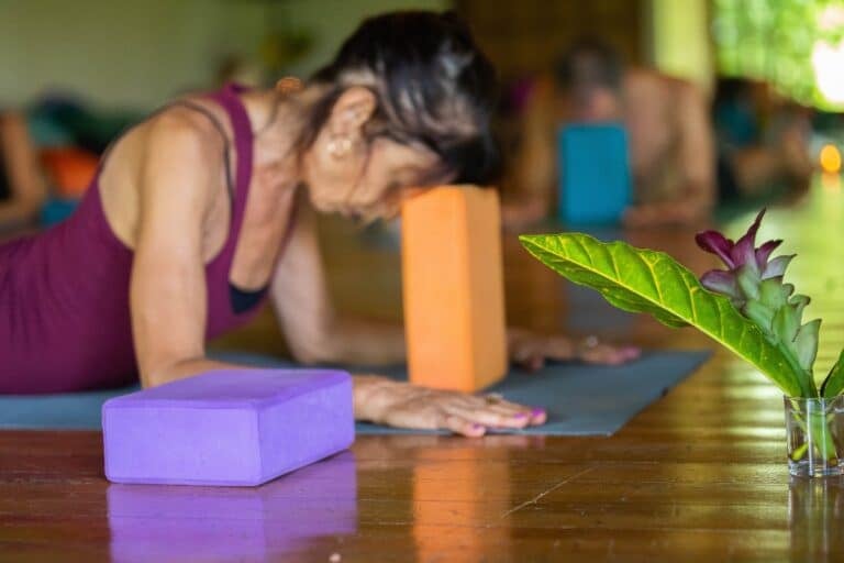 100H Restorative Yoga and Meditation Teacher Training