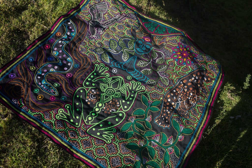 Ayahuasca Retreat & Master Plant