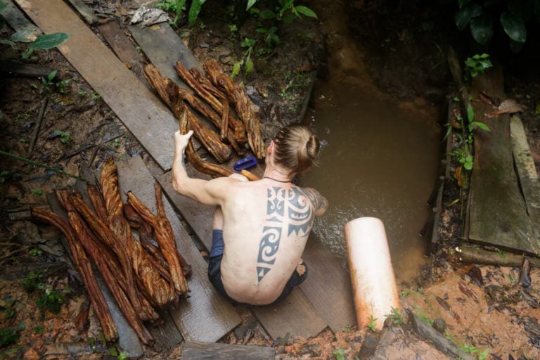 Ayahuasca Retreat & Master Plant