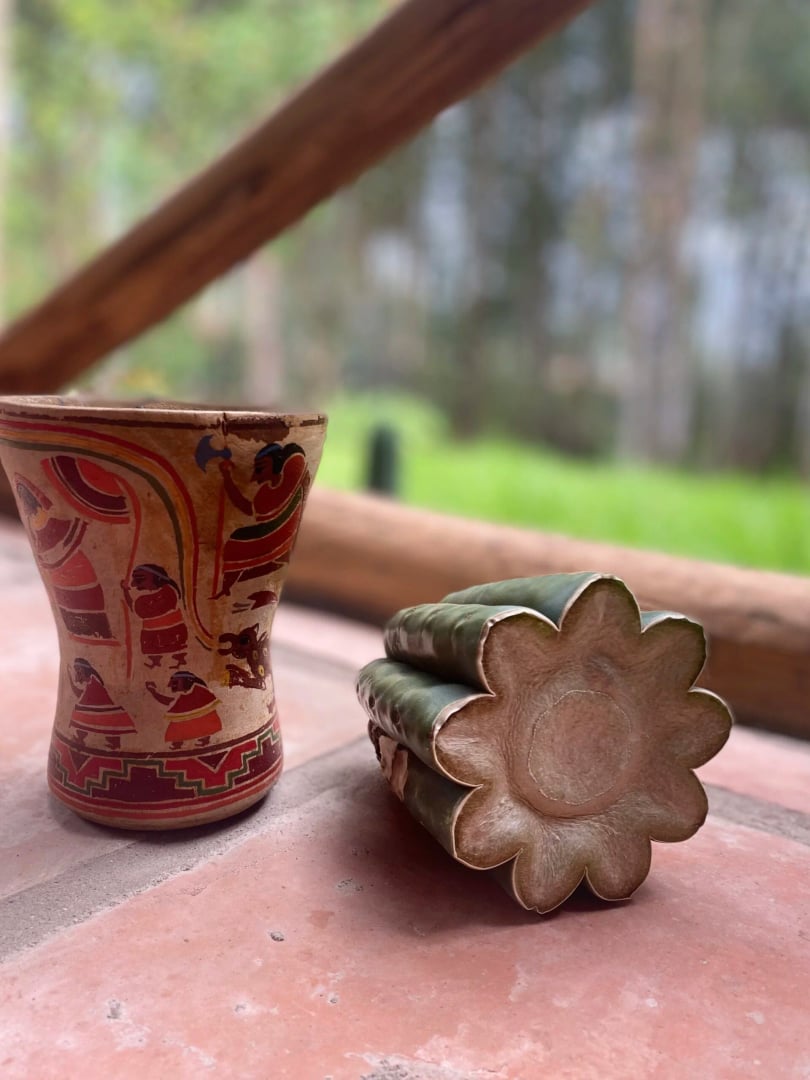 Huachuma (San Pedro) Immersions