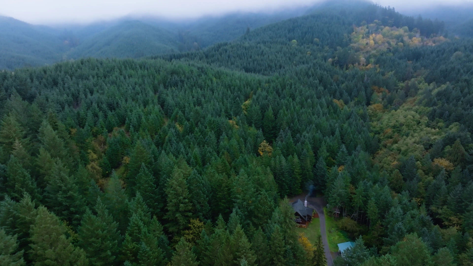 Psilocybin Retreat for Grief