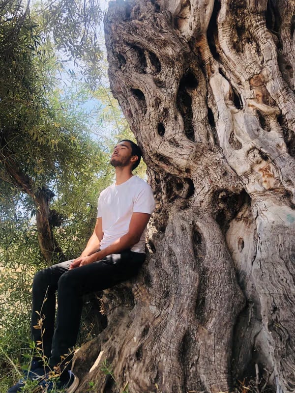 Aya and Mushrooms Deepening · 5-Day Ayahuasca & Mushrooms Retreat