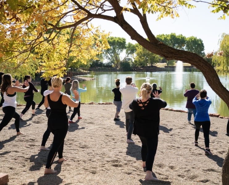 Revitalizing Detox Retreat