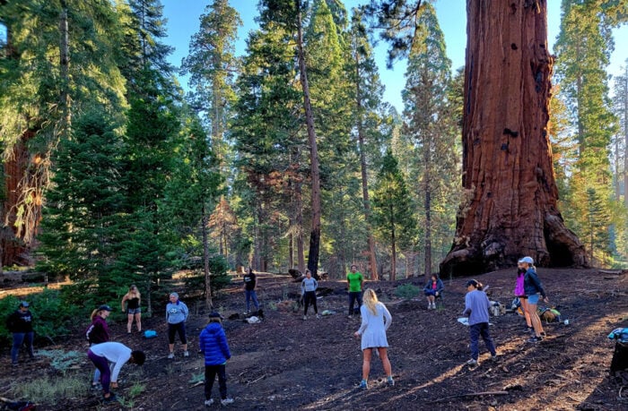 Calm, Resilient & Wild: Stop The Cycle Of Stress & Gain Mastery Of Your Mental Health