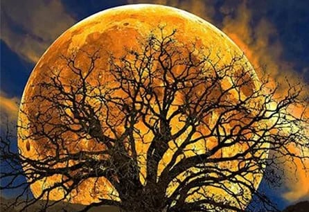 Full Moon Gazing Retreat: Recalibrating the Heart