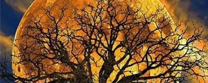 Full Moon Gazing Retreat: Recalibrating the Heart