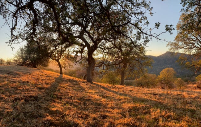 4 Days New Moon Gazing / Silent Yoga, Pranayam and Meditation Retreat