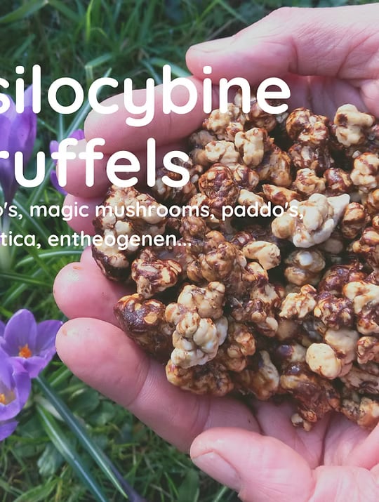 5-day truffle retreat in our Nature Temple