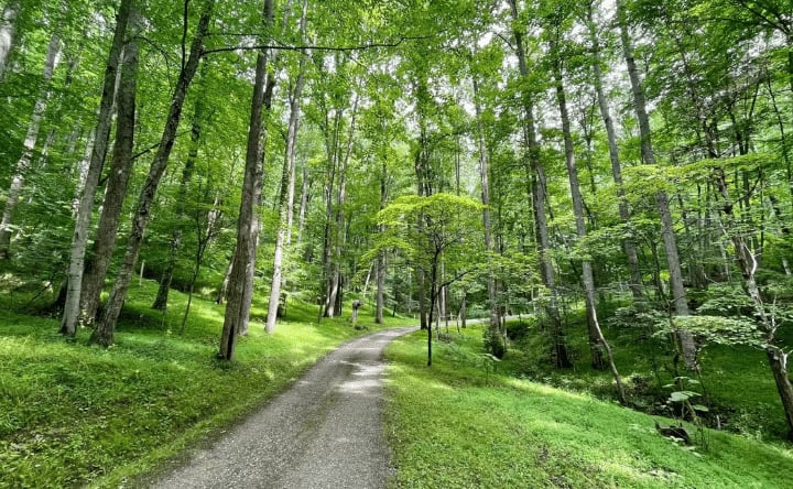 Awakened Journey 7-Day Meditation Retreat