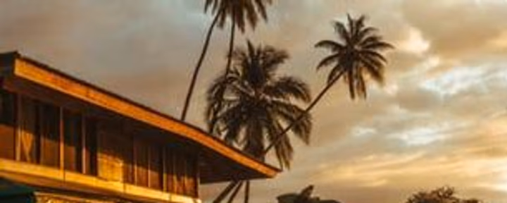 AYAHUASCA WORKSHOPS