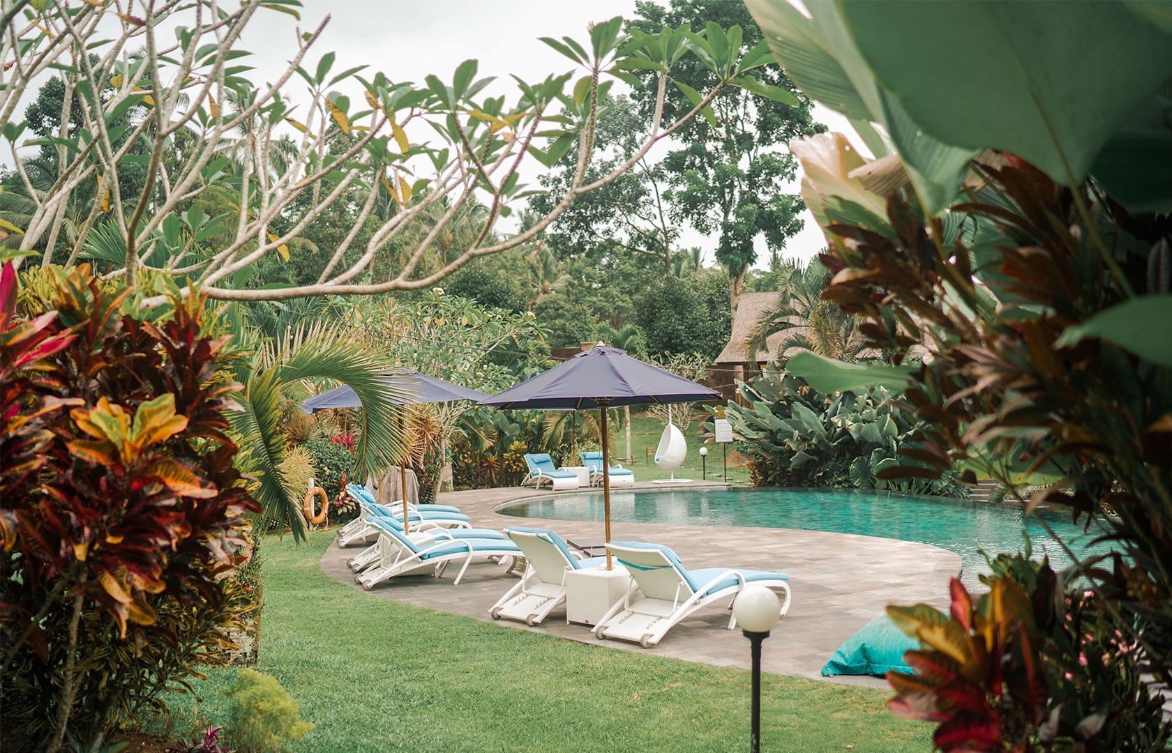 6 Days Luxury Tropical rainforest, yoga and wellness retreat in Bali
