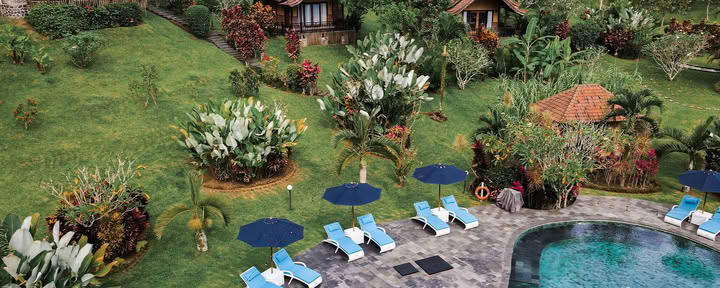 7 Days Luxury Tropical rainforest, yoga and wellness retreat in Bali