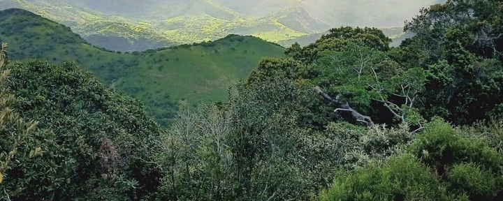 5 Day "INJOY" Retreat - Breathe into Bliss at Magwa Falls