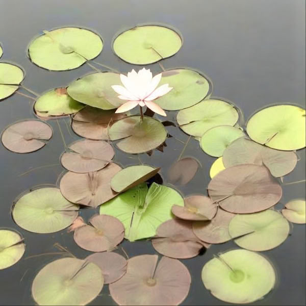 One-Day Personal Retreat