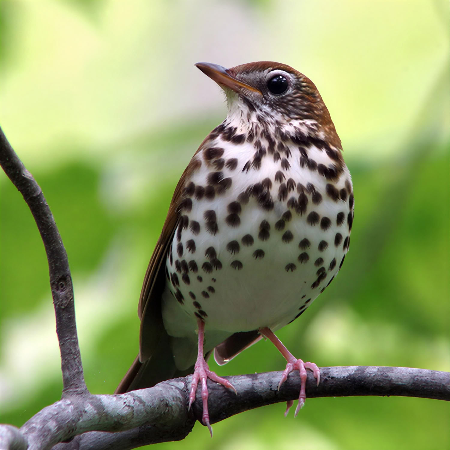 One-Day Personal Retreat