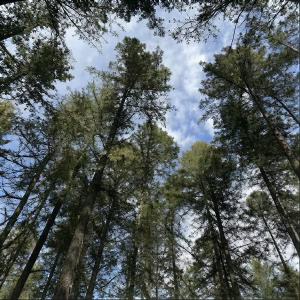 Weekend Silent Centering Prayer Retreat