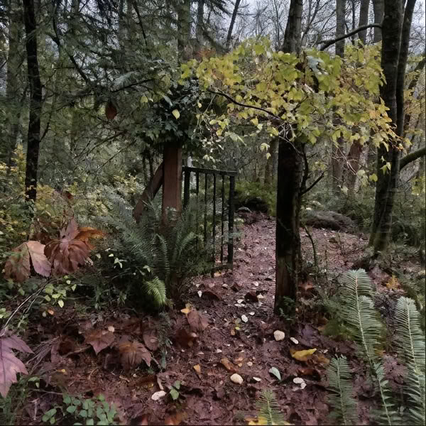 Hybrid: Dare To Write