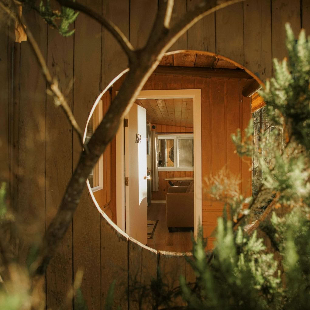 When One Door Closes: Transitioning Relationships