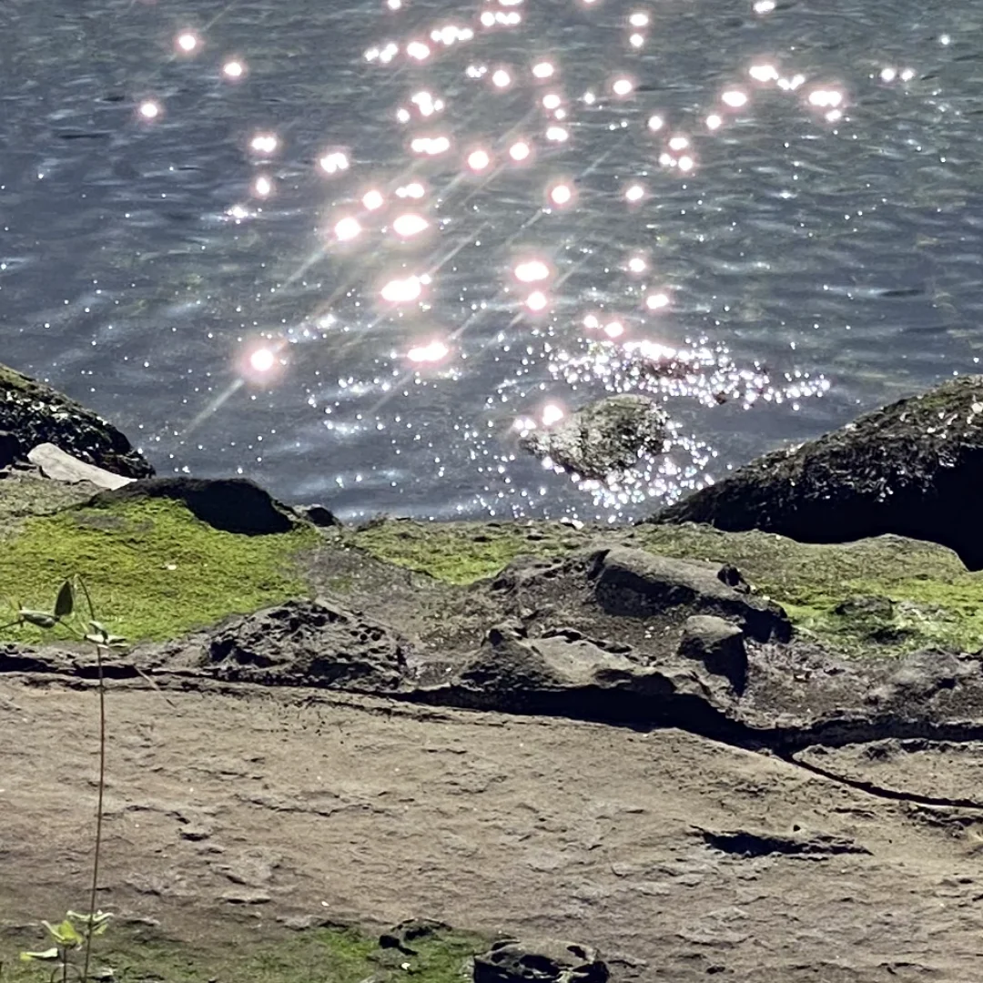 Conscious Breathwork: A Training for Personal Mastery & Professional Skill Development