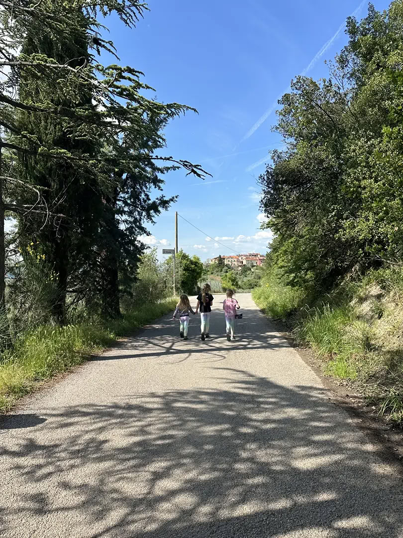 New Year Rejuvenation and reset Retreat