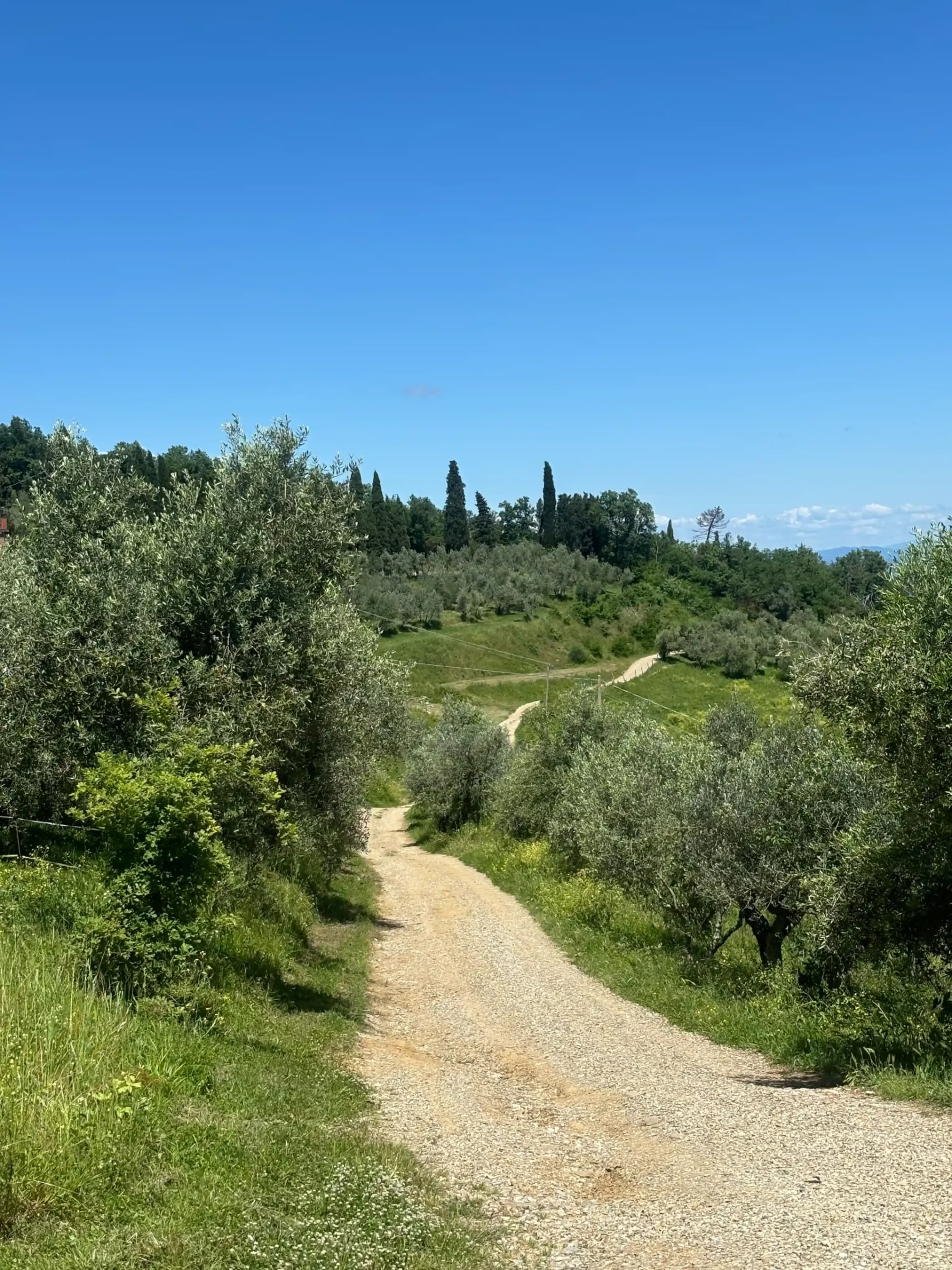 New Year Rejuvenation and reset Retreat