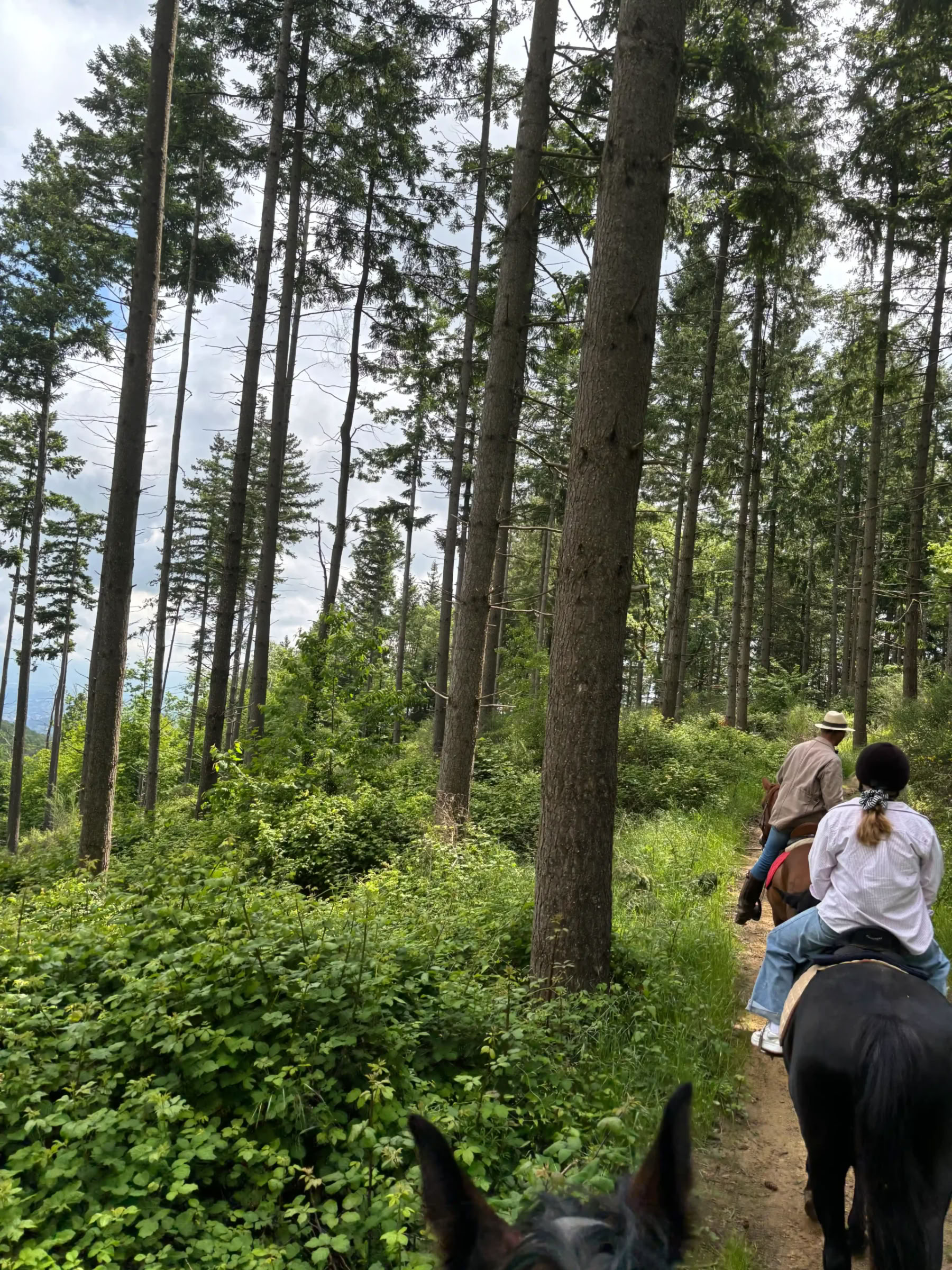 New Year Rejuvenation and reset Retreat