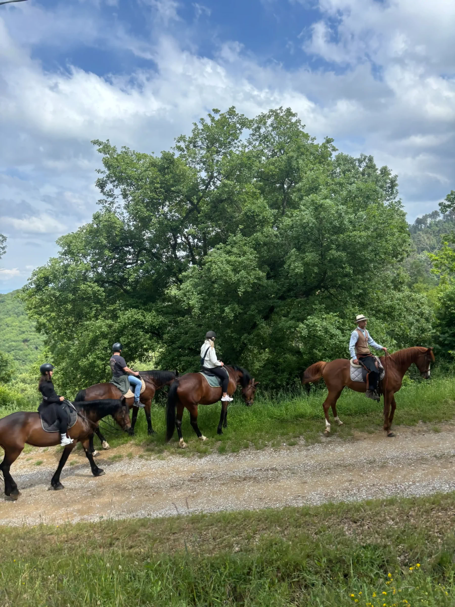 Yoga, Hiking, Fitness + Horse Riding