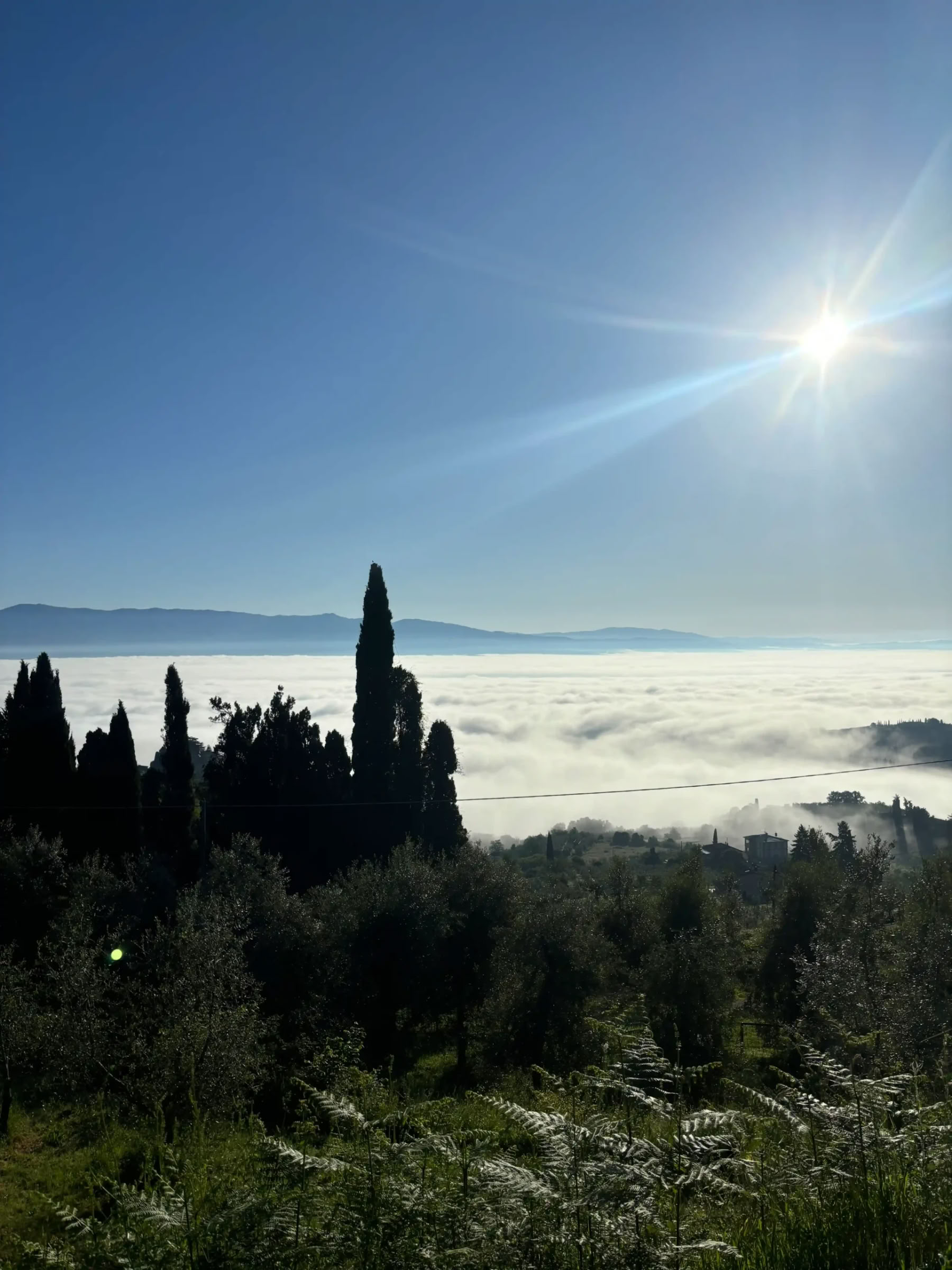 Yoga, Hiking, Fitness + Horse Riding