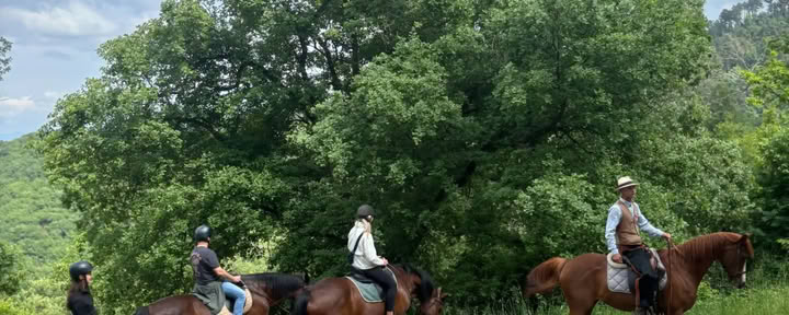 Yoga, Hiking, Fitness + Horse Riding
