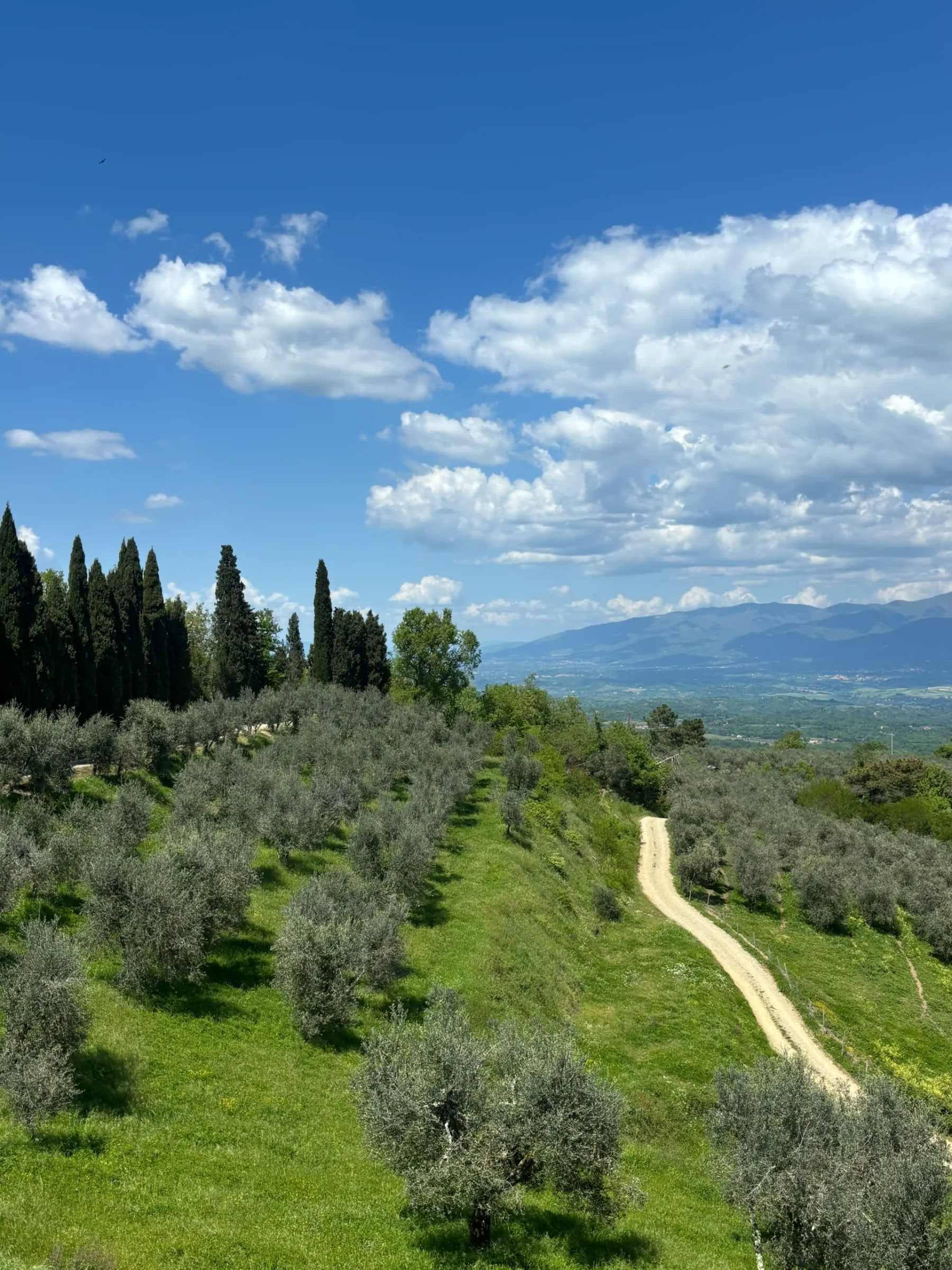 Yoga & Fitness – (4 Day/3 Night)
