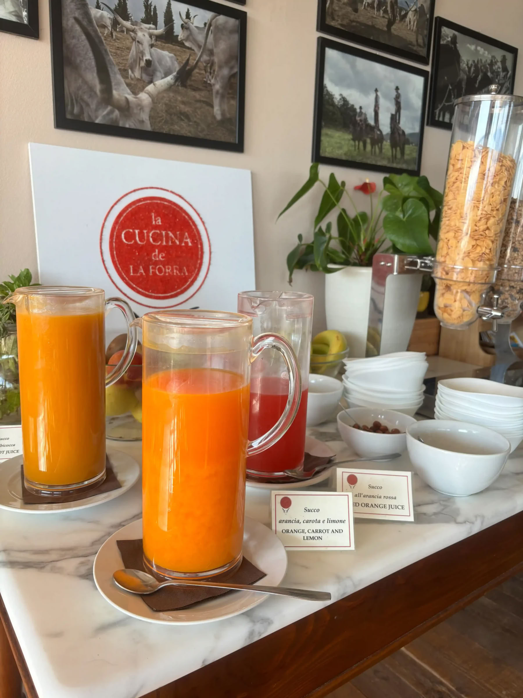 Yoga & Fitness – (4 Day/3 Night)