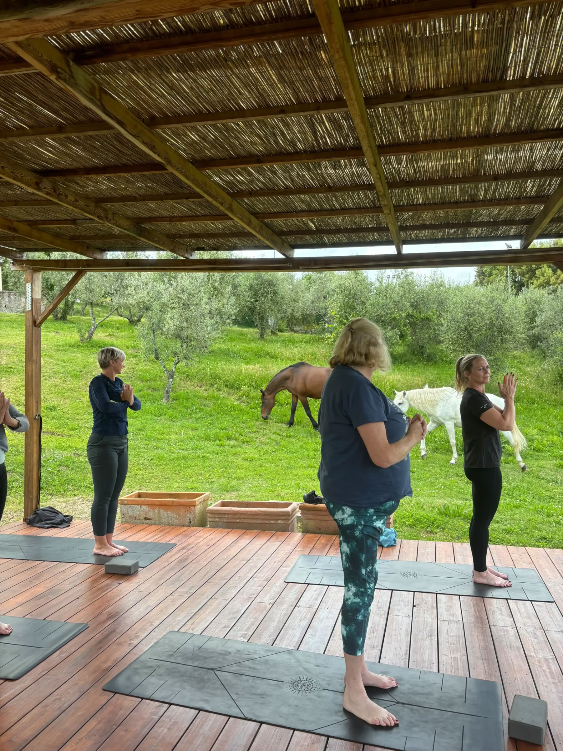 Yoga & Fitness – (4 Day/3 Night)